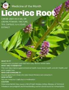 Medicine of the month August 2023-Licorice Root