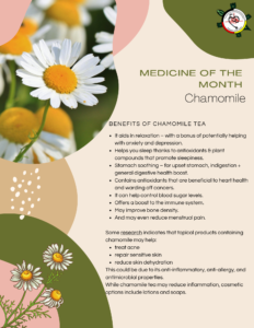 Medicine of the Month-Chamomile